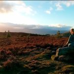woman sitting looking out over green hills thinking about the importance of essential oils high in beta-caryophyllene
