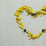 Endometriosis awareness month rae and daunder. Yellow flower petals arranged in the shape of a heart